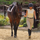 Female rider in a sleeveless cream competition top and beige riding breeches leading a dark bay horse through an outdoor arena while wearing a riding helmet, gloves and tall black riding boots.
