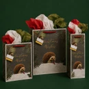 Three Christmas gift bags in assorted sizes featuring a festive hedgehog design, Christmas Wishes lettering and red handles.