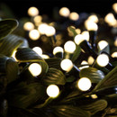 Close-up of warm white globe LED string lights woven through green foliage, creating a cosy decorative lighting display for gardens, patios, Christmas trees or indoor spaces.