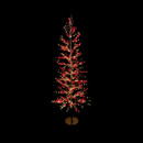 Illuminated LED berry tree decoration featuring warm white fairy lights and vibrant red berries on flexible branches, mounted on a sturdy round base for festive Christmas home décor, isolated on a black background.