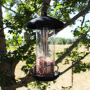 Black hanging bird feeder with a clear seed tube, domed weatherproof roof and feeding ports, filled with colourful seed mix and suspended from a tree branch.