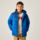 Front lifestyle image of the junior insulated hooded jacket, showcasing the full-zip fastening, padded hood, quilted insulation, and relaxed fit.