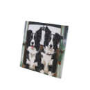 Ceramic art panel featuring two Border Collies sitting in the back of a vintage vehicle.