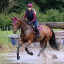 Rider cantering a bay horse through water on a cross-country course, wearing a purple LeMieux saddle pad and fly hood.