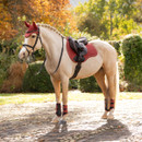 Light-coloured horse wearing a red LeMieux saddle pad, matching fly hood and protective leg boots in an autumn outdoor setting.