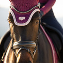Close-up of a dark horse wearing a plum LeMieux fly hood with pale trim and black bridle in warm sunlight.