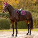 Dark bay horse wearing a berry LeMieux quilted saddle pad, matching fly hood and black jumping tack, standing outdoors in an autumn garden.
