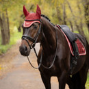 Dark horse in red LeMieux fly hood and coordinating saddle pad, standing tacked up against a softly blurred woodland background.
