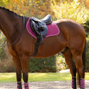 Side view of a tacked-up brown horse wearing a magenta LeMieux saddle pad and matching protective boots.