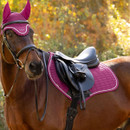 Brown horse wearing a magenta LeMieux saddle pad and matching fly hood beneath a black English saddle and bridle.