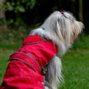 Rear side view of a long-haired white and grey dog wearing a red waterproof coat with reflective grey trim outdoors.