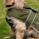 Close-up of an olive green waterproof dog coat showing the front leg opening, grey reflective edging and adjustable wraparound fastening.