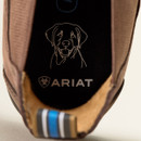 An interior view of an Ariat boot showing a dog illustration and the brand name "Ariat" printed on the insole.