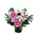 A floral arrangement featuring pink daisies, purple roses, white lilies, and green foliage in a black pot.
