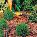 Hozelock Soaker Hose laid around garden plants and shrubs to provide slow, targeted watering directly into the soil.