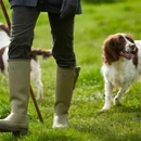 Le Chameau men's green wellington boots being worn outdoors while walking dogs across a grassy field.