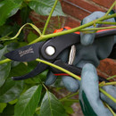 Wilkinson Sword 1111129WF General Purpose Bypass Pruners