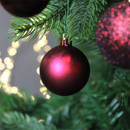 Matte burgundy Christmas tree bauble hanging on a fir branch with soft warm fairy light bokeh in the background.