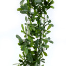 Close-up of artificial garland with layered green foliage and delicate white berry accents, perfect for festive arrangements and table decorations.