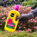 A gloved hand holds a bright yellow Miracle-Gro liquid plant food bottle against a background of vibrant pink and green azalea bushes in a garden.