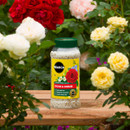 Container of Miracle-Gro Rose & Shrub plant food on a wooden table surrounded by vibrant red, pink, and yellow roses, creating a lush garden scene.