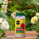 A container of Miracle-Gro Rose & Shrub plant food is placed on a wooden surface, surrounded by lush green foliage and blooming white and yellow roses.