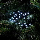 Cool white LED Christmas lights woven through evergreen tree branches, providing a crisp sparkling effect that blends discreetly with natural foliage.