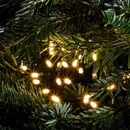 Warm white LED string lights nestled among artificial Christmas tree branches, adding a classic festive glow to seasonal décor.