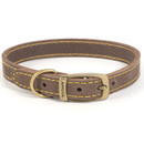 A view of a brown leather dog collar on a white background A view of a brown leather dog collar on a white background