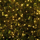 Warm white LED fairy lights draped through garden foliage, creating a sparkling decorative outdoor lighting effect.