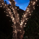 Warm white battery-operated LED Christmas lights wrapped around a tree trunk outdoors, creating an elegant festive display with soft white illumination.