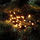 Antique white LED fairy lights woven through evergreen Christmas tree branches, creating a cosy and traditional festive glow.