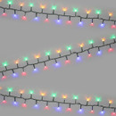 Compact multicolour LED Christmas tree lights displayed in parallel strands, featuring red, green, blue and amber bulbs on a green cable for festive indoor and outdoor decoration.