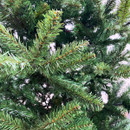 Close-up of a fir tree branch with green needles.