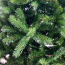 Close-up of dense, green fir tree branches.