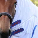 A close up view of the upper neck of the fly rug.