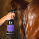 Carr & Day & Martin Dreamcoat Ultimate Coat Finish Spray - 500ml