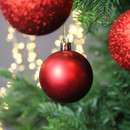 A close up view of a red satin bauble hanging from a Christmas Tree.
