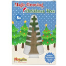 Playwrite Magic Growing Christmas Tree kit packaging showing a grow-your-own crystal Christmas tree activity set with festive holiday design and window display.