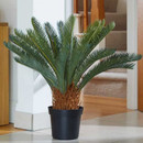 Smart Garden Sago Palm Artificial House Plant - 68cm
