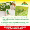 Neudorff BugFree Bug & Larvae Killer Concentrate - 250ml