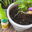 A hand using a small gardening tool to mix soil in a potted plant with green leaves. Fertilizer granules are visible on the soil, and a container of plant food is nearby on a wooden surface.