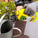 Person in gloves pouring yellow plant food into a metal watering can. Purple flowers in the background on a sunny day. Gardening activity.