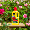A bright yellow bottle of Miracle-Gro Rose & Shrub plant food sits on a wooden bench. Surrounded by vibrant pink roses, it conveys a lush garden vibe.