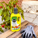 A yellow bottle of plant food labelled "Miracle-Gro Performance Organics" sits on a wooden surface beside grey gardening gloves. Nearby, a chilli plant with red peppers adds a lush background, suggesting outdoor gardening.