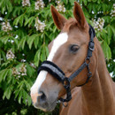 Hy Dazzle Headcollar - Black