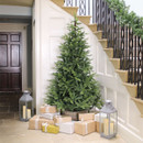 Artificial Christmas tree displayed in a hallway with wrapped presents and lanterns, featuring realistic evergreen foliage and a traditional full shape for festive home décor.