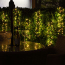 A row of warm white drop lights strung from a hedge.