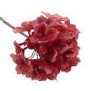 A pink hydrangea flower stem