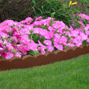 A vibrant flower bed with lush pink flowers bordered by a scalloped brown edge. Green grass surrounds the colourful and cheerful garden scene.
